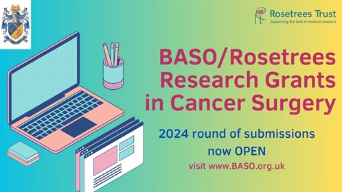 2024 BASO Rosetrees Grants Banner